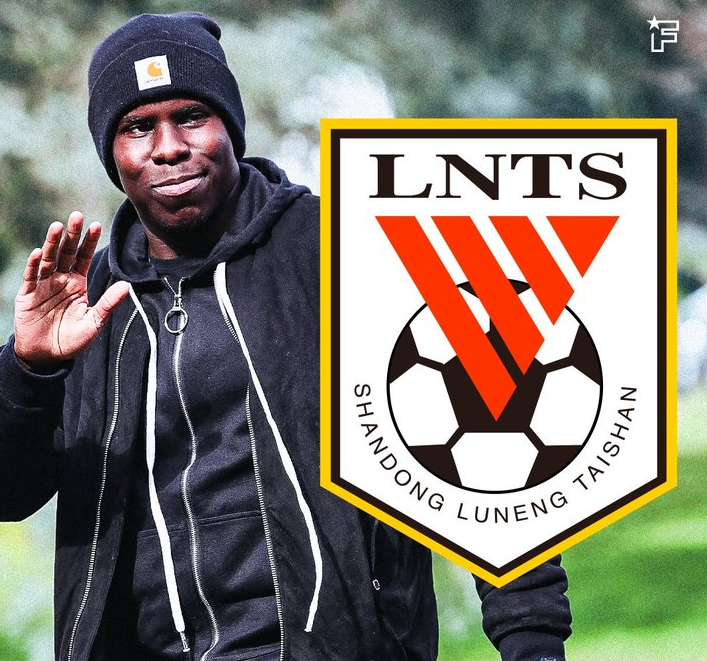 高清免费观看-搞笑！山东泰山欲签虐猫后卫，遭国外网友嘲讽：山东的猫注意安全